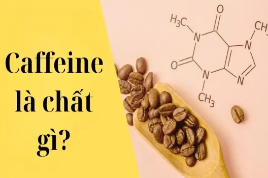 Caffeine là chất gì và ảnh hưởng ra sao đến cơ thể