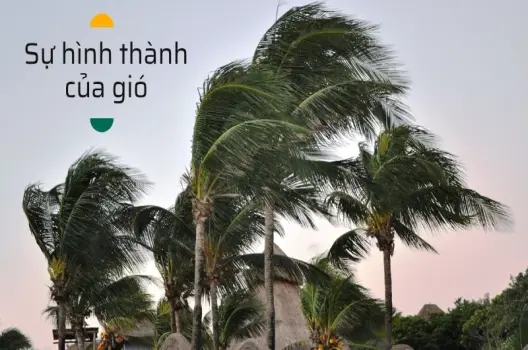 Gió được hình thành như thế nào? Sự chênh lệch áp suất không khí