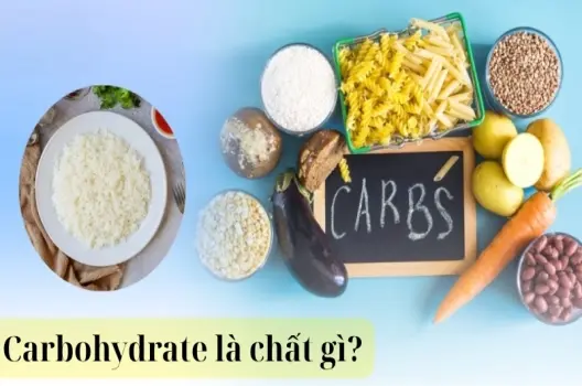 Carbohydrate là chất gì và vai trò quan trọng với cơ thể