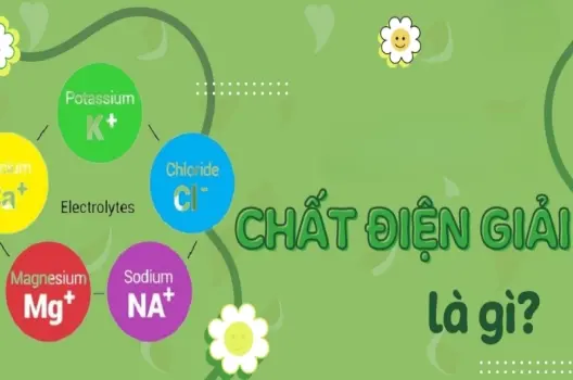 Chất điện giải là gì? Những điều bạn cần biết ngay
