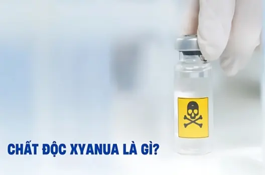 Chất độc xyanua là gì và mức độ nguy hiểm ra sao?