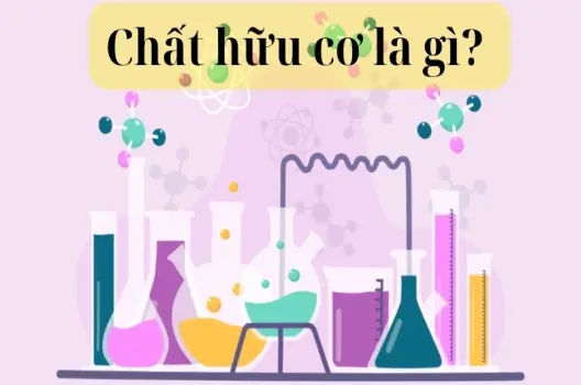 Chất hữu cơ là gì? Ứng dụng thực tế trong đời sống hằng ngày