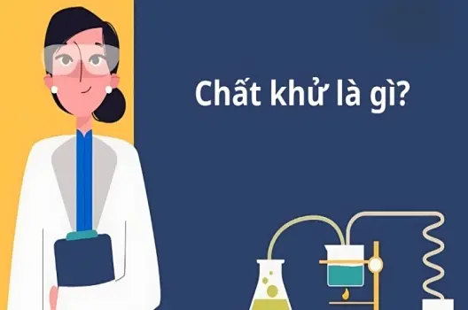 Chất khử là gì và vai trò của nó trong phản ứng hóa học