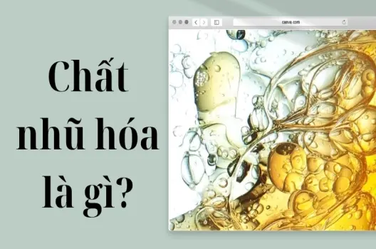 Chất nhũ hóa là gì? Cơ chế hoạt động và tính năng