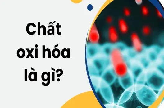 Chất oxi hóa là gì? Có gây hại cho sức khỏe hay không?