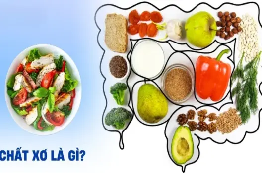 Chất xơ là gì? Phân loại và nguồn thực phẩm giàu xơ