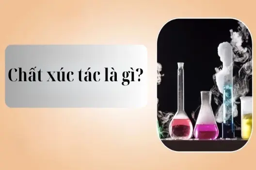 Chất xúc tác là gì? Tính chất, phân loại và ứng dụng thực tế