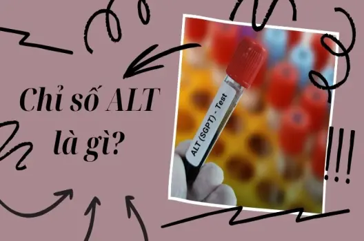 Chỉ số ALT là gì? Bao nhiêu là bình thường và nguy hiểm