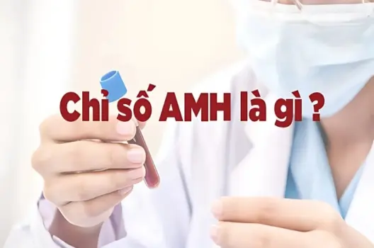 Chỉ số AMH là gì? Hiểu rõ để đánh giá khả năng sinh sản