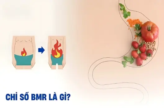 Giải mã chỉ số BMR là gì và cách áp dụng vào giảm cân