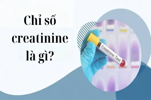 Tìm hiểu chi tiết chỉ số creatinine là gì trong xét nghiệm