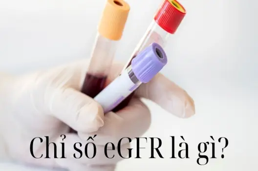 Chỉ số eGFR là gì? Cảnh báo sớm chức năng thận suy giảm