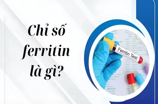 Chỉ số ferritin là gì? Hiểu đúng để bảo vệ sức khỏe