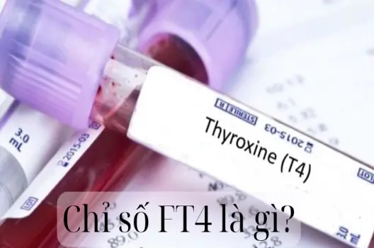 Chỉ số FT4 là gì? Ý nghĩa trong xét nghiệm tuyến giáp