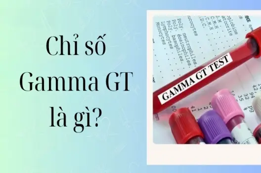 Chỉ số Gamma GT là gì và ý nghĩa trong xét nghiệm máu