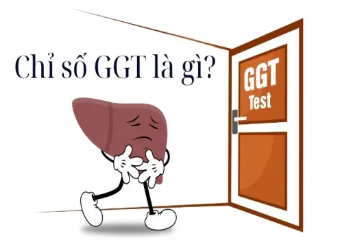 Chỉ số GGT là gì và làm sao để kiểm soát hiệu quả