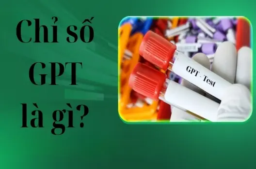Chỉ số GPT là gì? Những điều cần biết rõ nhất về chỉ số này