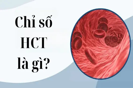Chỉ số HCT là gì và tìm hiểu các mức độ bình thường