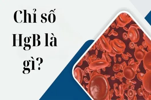 Chỉ số HGB là gì và có ý nghĩa ra sao trong xét nghiệm