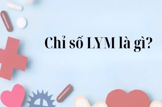 Giải mã chỉ số LYM là gì trong kết quả xét nghiệm
