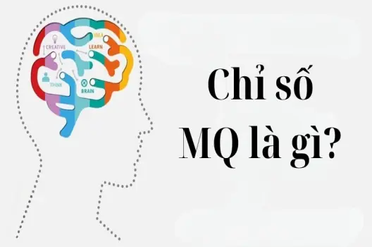 Tìm hiểu chi tiết về chỉ số MQ là gì và ý nghĩa thực tế
