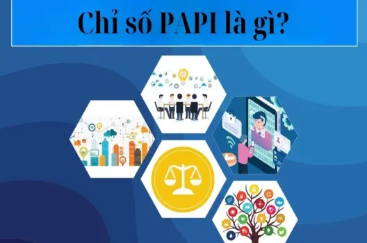 Chỉ số PAPI là gì và có ảnh hưởng ra sao đến chính sách công