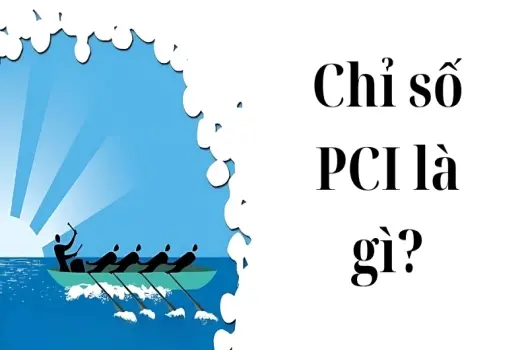 Chỉ số PCI là gì và ứng dụng trong hoạch định chính sách