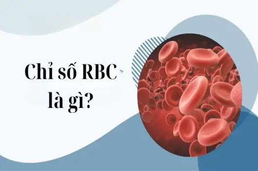 Tìm hiểu chỉ số RBC là gì trong xét nghiệm huyết học