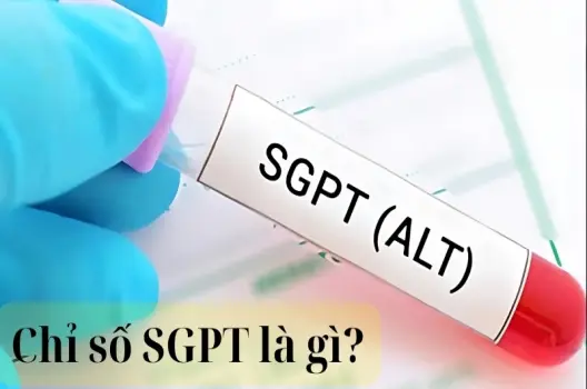 Chỉ số SGPT là gì và có nguy hiểm đến sức khỏe không?