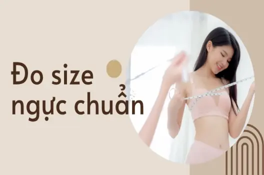 Áo ngực size A và B khác nhau như thế nào? Cách phân biệt đúng