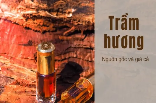 Cách phân biệt trầm hương thật giả - Bí quyết chọn đúng trầm tự nhiên