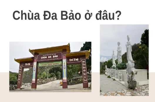 Chùa Đa Bảo ở đâu? Chi tiết điểm đến yên bình giữa núi non