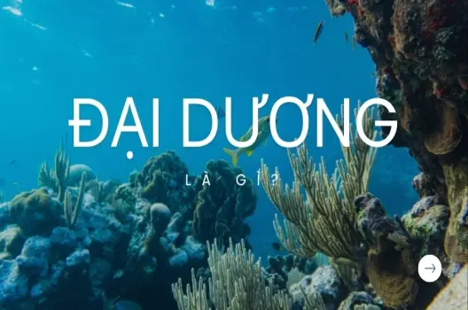 Đại dương được hình thành như thế nào? Bí ẩn của hành tinh xanh