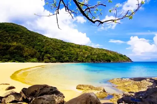 Đắm chìm trong vẻ đẹp hoang sơ tại bãi Đầm Trầu