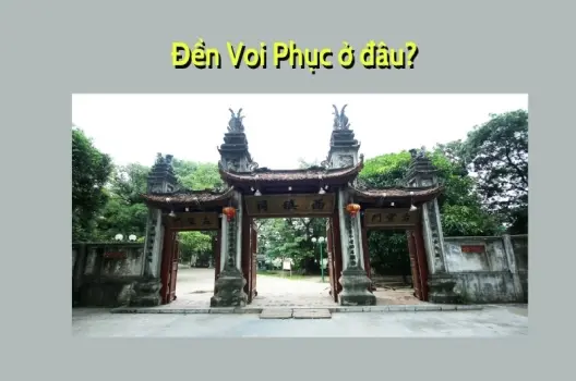 Đền Voi Phục ở đâu? Hành trình tìm về di tích thờ vị thần
