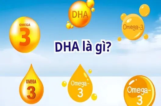 DHA là chất gì? Vai trò và lợi ích quan trọng cho cơ thể