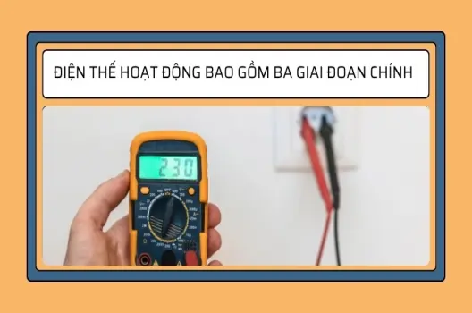 Điện thế nghỉ và điện thế hoạt động được hình thành như thế nào?