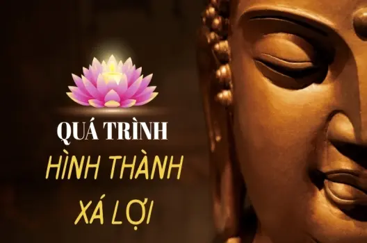 Xá lợi được hình thành như thế nào? Giải mã hiện tượng kỳ bí của tâm linh