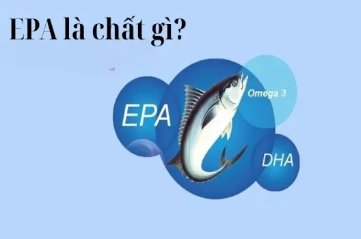 EPA là chất gì? Những điều cần biết về axit béo này