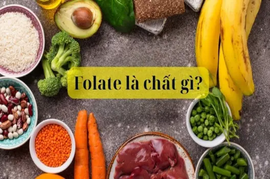 Folate là chất gì? Vai trò thiết yếu với sức khỏe bạn