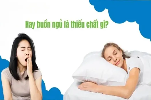 Hay buồn ngủ là thiếu chất gì? Đọc ngay để cải thiện