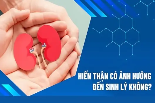 Hiến thận có bị sao không và những ảnh hưởng lâu dài