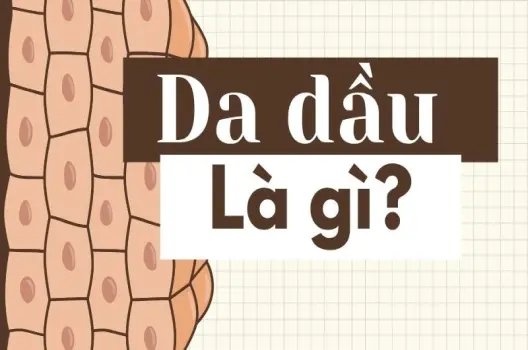 Như thế nào là da dầu? Quy trình Skincare da dầu chuẩn khoa học