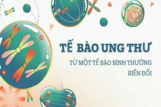 Hiểu rõ tế bào ung thư được hình thành như thế nào để phòng ngừa hiệu quả
