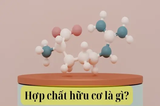 Hợp chất hữu cơ là gì? Vai trò trong đời sống hằng ngày