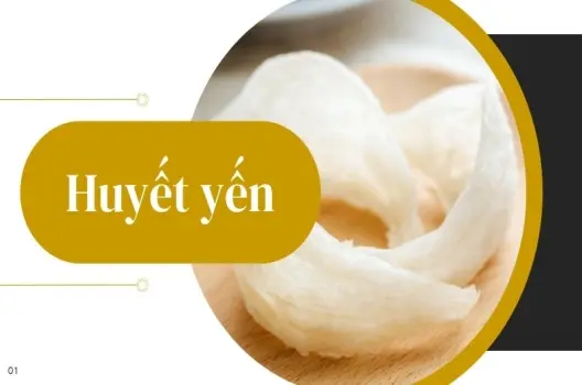Huyết yến được hình thành như thế nào? Bí ẩn 