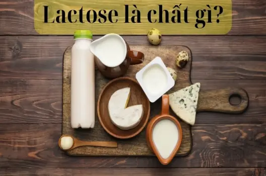 Lactose là chất gì? Hiểu đúng về đường sữa và sức khỏe