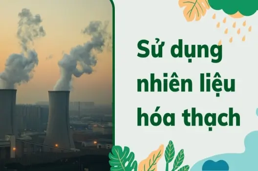 Nhiên liệu hóa thạch được hình thành như thế nào? Hành trình triệu năm