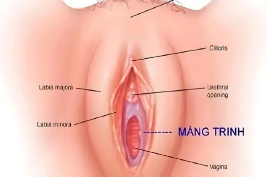 Mất trinh có bị sao không và dấu hiệu dễ nhận biết