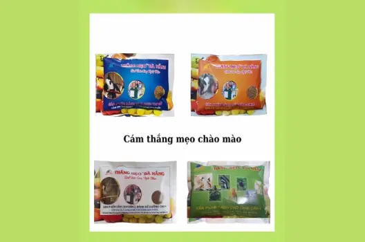 Cách chọn cám chào mào thắng mẹo giúp chim khỏe mạnh